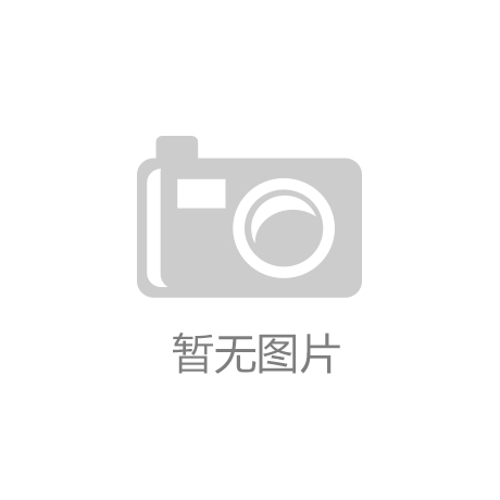 合作伙伴十二