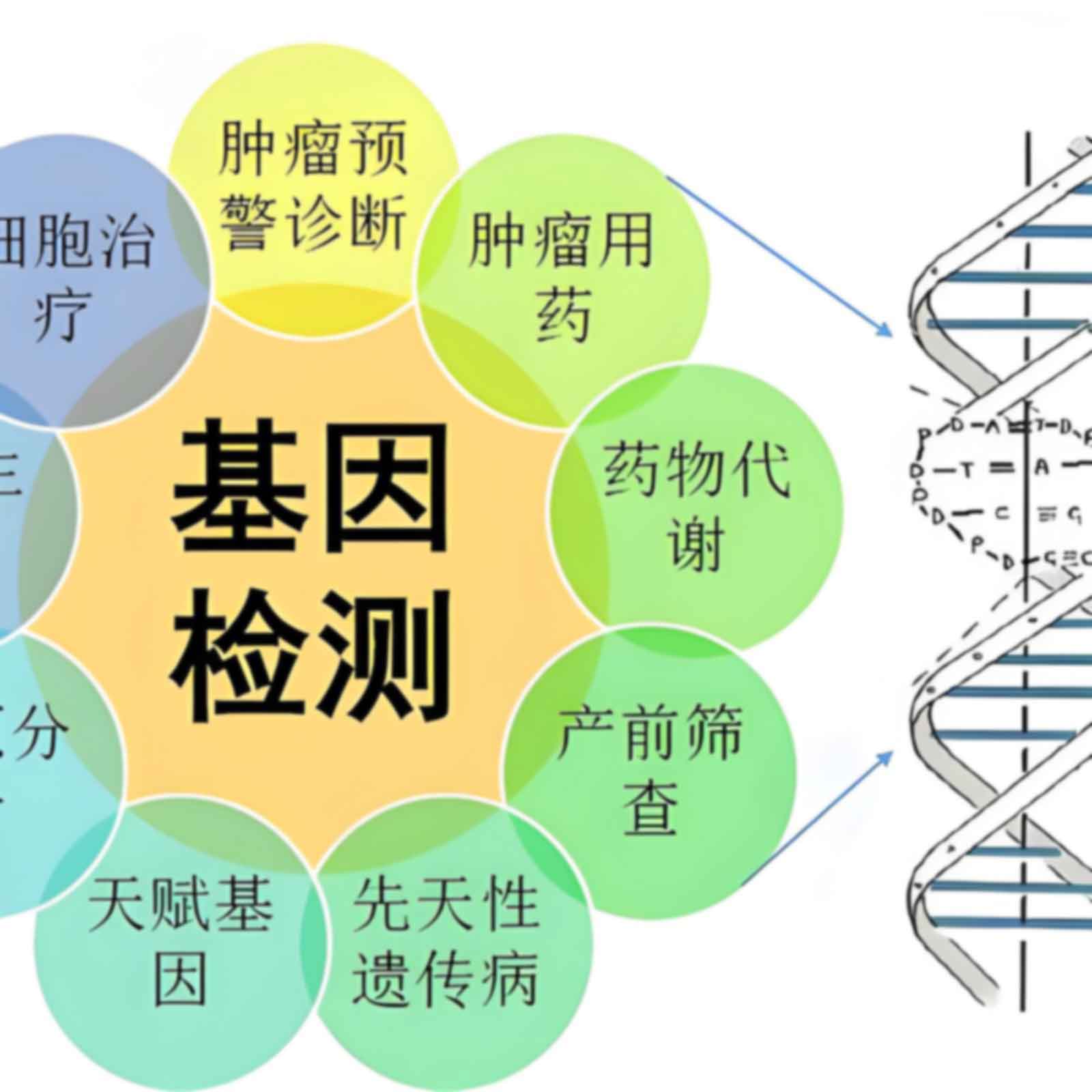 深圳光明落户办理亲子鉴定需要什么条件？