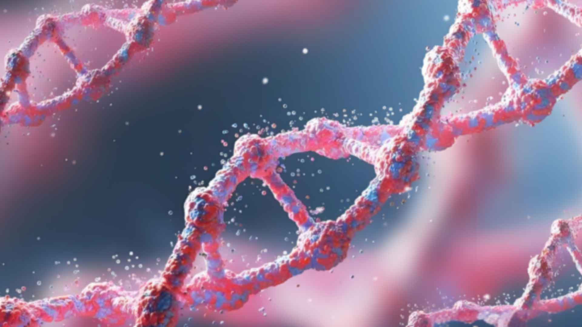 深圳罗湖区孕期亲子鉴定流程是怎样的